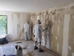 Best Residential Mold Inspection & Testing  in Havelock, NC